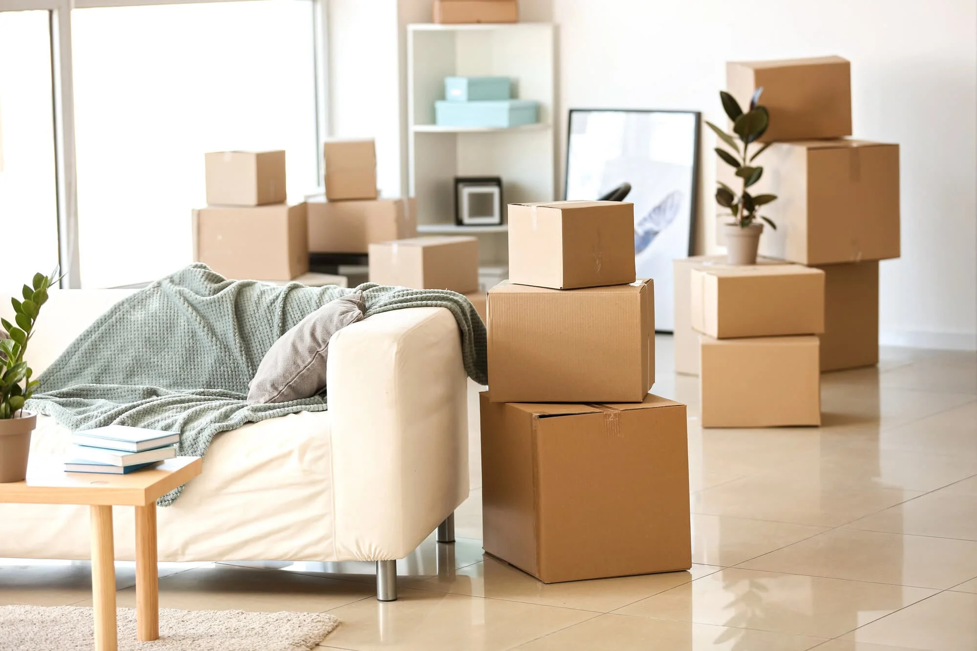 Smooth Moves: Finding the Right Moving Company Near You